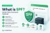 What is SPF? Sender Policy Framework Explained (2026 Guide)